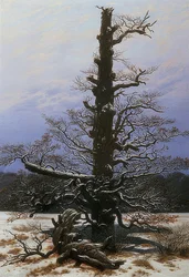 Ek i snön. 1829
