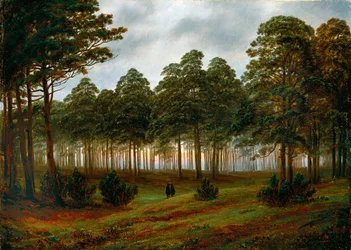 Kväll
