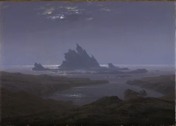 Klipprev vid havsstranden