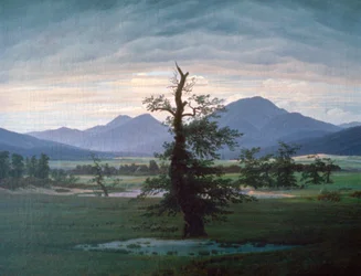 Det ensamma trädet, 1823