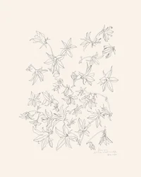 Studie av botaniska blommor