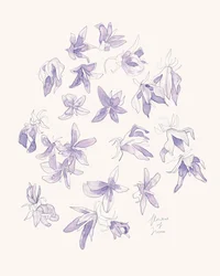 Fina lila blommor