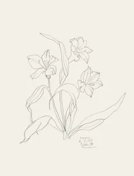 Elegant blomstermotiv i konturstil