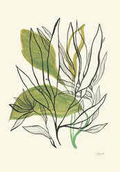 Moderna botaniska blad