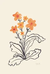 Ljusa orange blommor