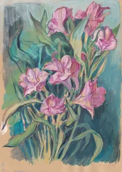 Ljusa rosa blommor