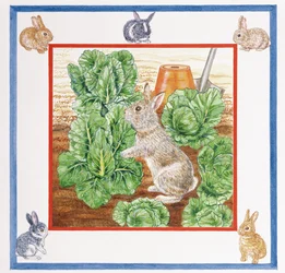 A Rabbit in the Cabbage Patch (wc på papper)