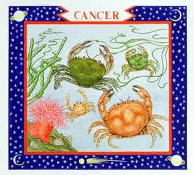 Cancer (wc på papper)