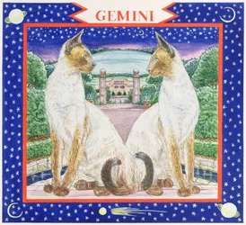 Gemini (wc på papper)
