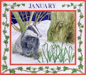 Januari (wc på papper)