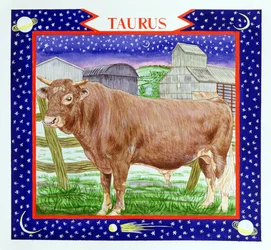 Taurus (wc på papper)