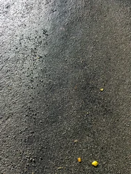 Komposition - Textur, 2020 (foto)