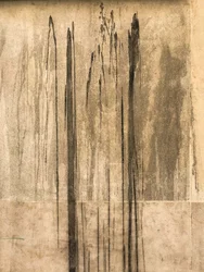 Komposition - Textur, 2020 (foto)