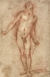 Stående manlig nakenstudie, 1637-38