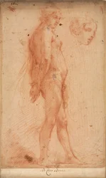 Studie av en stående manlig naken, med en studie av huvud i trekvartsprofil, c. 1640.