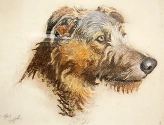 En skotsk rådjurshund (pastell på tonat papper)