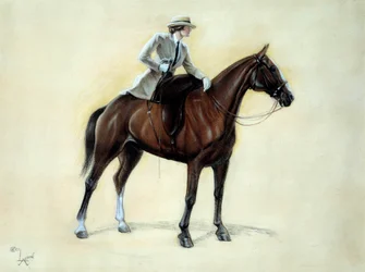 En elegant cavaliere som stiger in i en Amazonas. Teckning av Cecil Aldin (1870-1935) 1800-talet Privatsamling