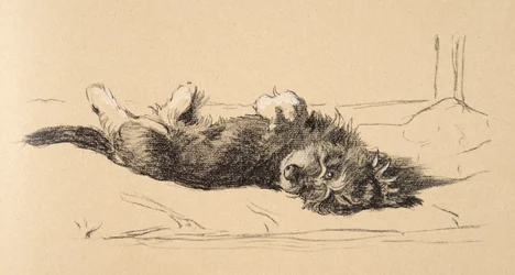 Rough Daschund Puppy Detail, 1930, Illustrationer från hans skissbok använd för Just Among Friends, Aldin, Cecil Charles Windsor (1870-1935), senare publicerad av Eyre och Spottiswoode Limited, 1934, Cha