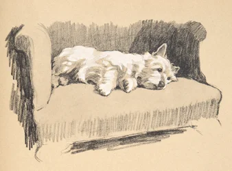 West Highlander, 1930, Illustrationer från hans skissbok som användes för "Just Among Friends", Aldin, Cecil Charles Windsor (1870-1935), senare publicerad av Eyre och Spottiswoode Limited, 1934, Chalk and Cha