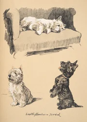 West Highlanders and Scotch, 1930, illustrationer från hans skissbok använd för Just Among Friends, senare publicerad av Eyre och Spottiswoode Limited, 1934 (krita och kol på papper)