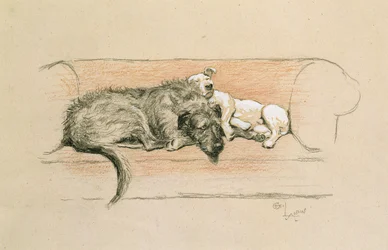 Varghund och bullterrier sover på en soffa (pastellfärgad på papper)