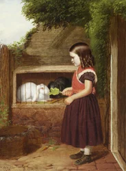 Mata kaninerna, 1868