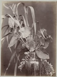 Blommastudie med glasflaska