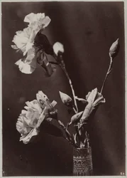 Blomstudie med glasvas