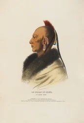 Le Soldat du Chêne - En osagehövding