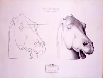Hästhuvud från West Pediment of the Parthenon, skylt 47 från Cours de Dessin, ca 1898