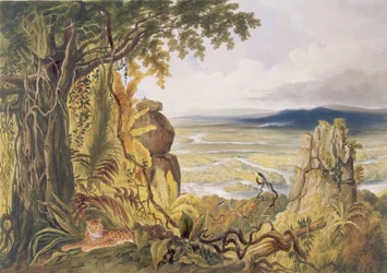 Comuti eller Taquiare Rock, vid floden Essequibo, från "Views in the Interior of Guyana", graverad av puben George Barnard (fl.1832-90). av Ackermann, 1840