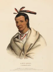 A-MIS-QUAM, EN BRAVE FRÅN WINNEBAGO, ur Nordamerikas indianstammars historia