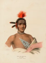 MOA-NA-HON-GA. STOR VANDRARE. AN IOWAY CHIEF, från Historien om Nordamerikas indianstammar