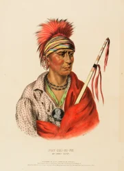 NOT-CHI-MI-NE. AN IOWAY CHIEF, från Historien om Nordamerikas indianstammar