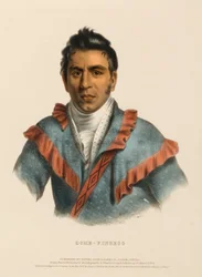 OCHE-FINCECO, från Historien om Nordamerikas indianstammar