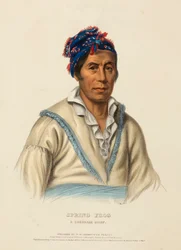 SPRING FROG. EN CHEROKEE CHIEF, från Historia om indianstammarna i Nordamerika