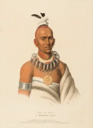TAI-O-MAH. EN MUSQUAKEE BRAVE, ur Historien om Nordamerikas indianstammar