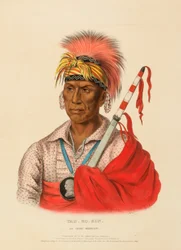 TEH-RO-HON, EN KRIGER FRÅN IOWAY, ur Historien om Nordamerikas indianstammar