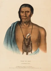 TISH-CO-HAN. A DELAWARE CHIEF., från Historia om indianstammarna i Nordamerika
