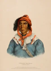 TULCEE-MATHLA. A SEMINOLE CHIEF., från Historien om Nordamerikas indianstammar