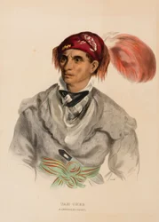 Tah-Chee (holländsk), En Cherokee-hövding, från Historia om indianstammarna i Nordamerika