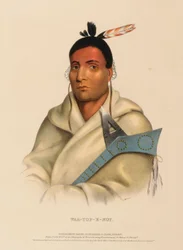 WAA-TOP-E-NOT, från Historia om indianstammarna i Nordamerika