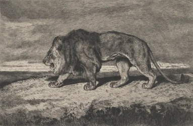 Lejonvandring, 1866-1897.