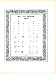 Kalligrafiska hörnelement - Traits de Plume Coins (tryck)
