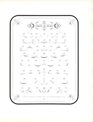 Kalligrafiska flärpar och dekorativa element (tryck)