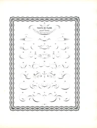 Calligraphic Pen Flourishes - Fortsättning på den första serien (tryck)