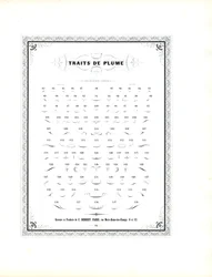 Calligraphic Pen Flourishes - Andra serien (tryck)