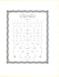 Provkatalog för Calligraphic Pen Flourishes - Första serien (tryck)