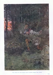 Den som utförde dådet kom hoppande från skogen