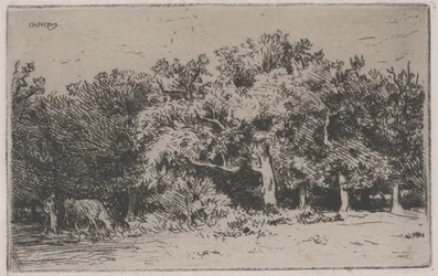 Ett hörn av skogen Fontainebleau (etsning)